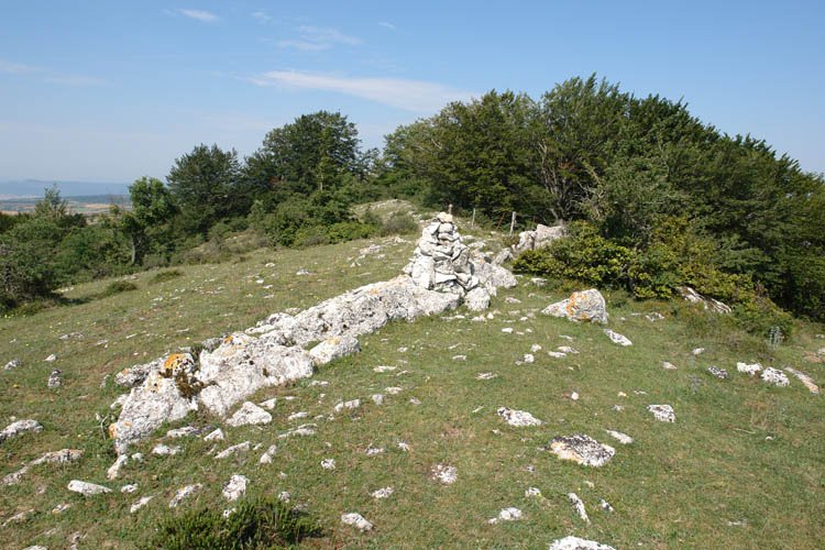 Ekialdeko gandorreko bidea