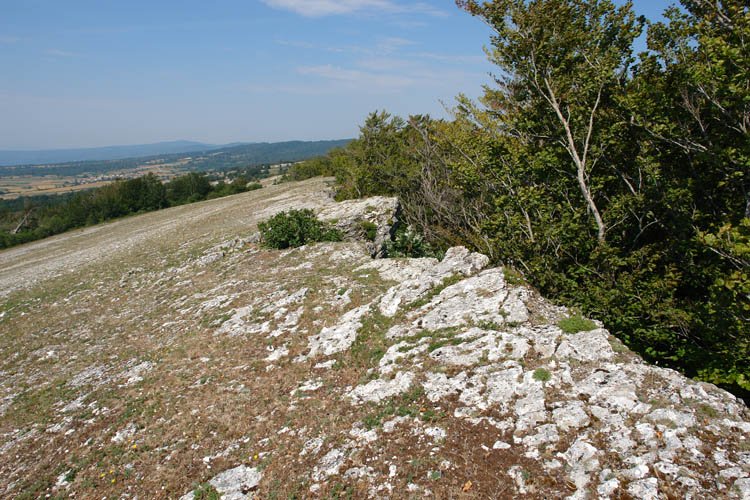 Mendebaldeko gandorra, tontorretik aurrera