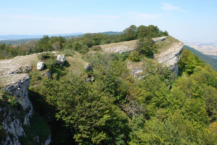 Mendebaldeko gandorra