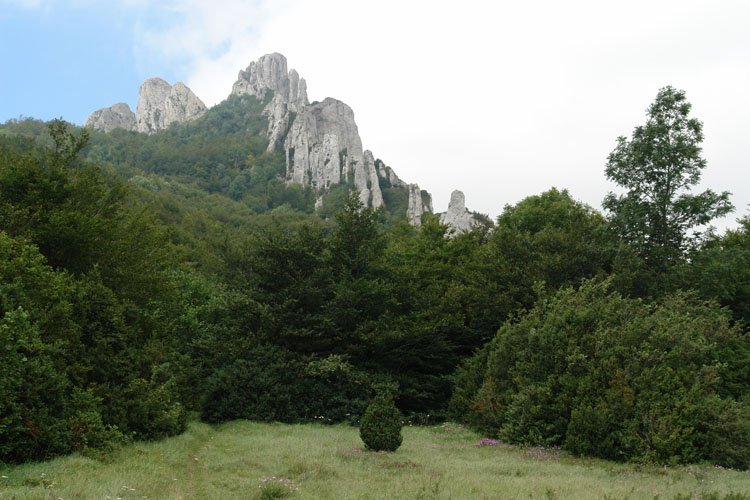 Toro mendatetik ikusita