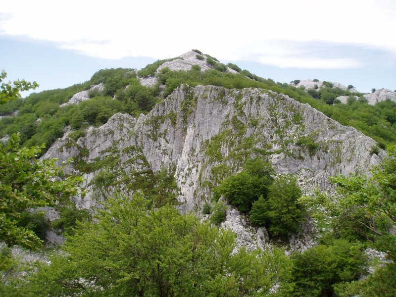 Ipar-ekialdetik ikusita