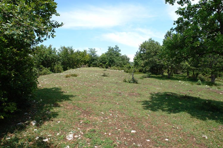 Mendebaldeko tontorra