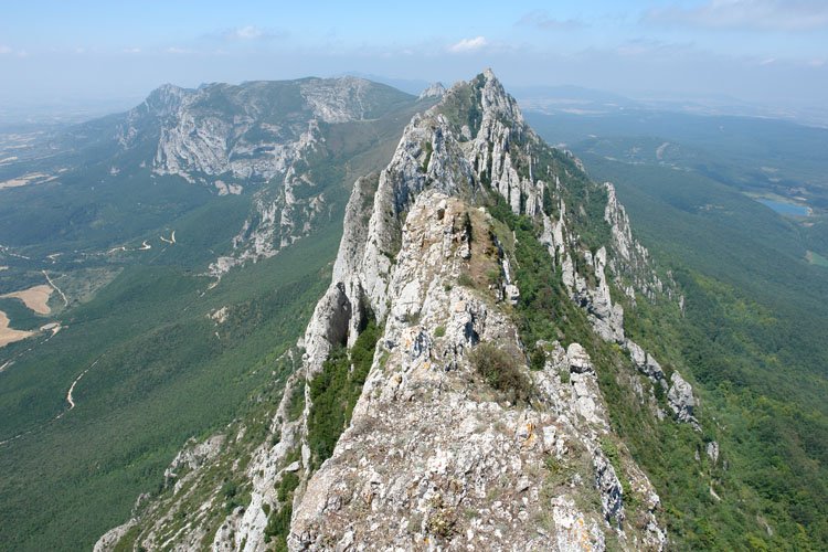 Mendebaldeko gandorra