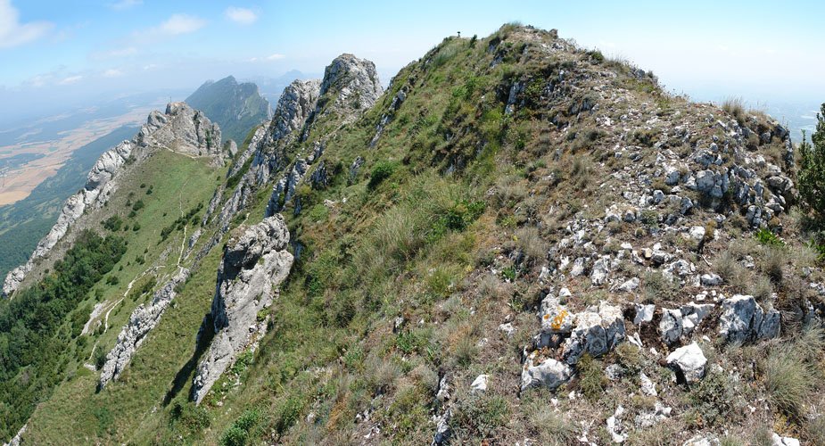 Tontorra mendebaldetik