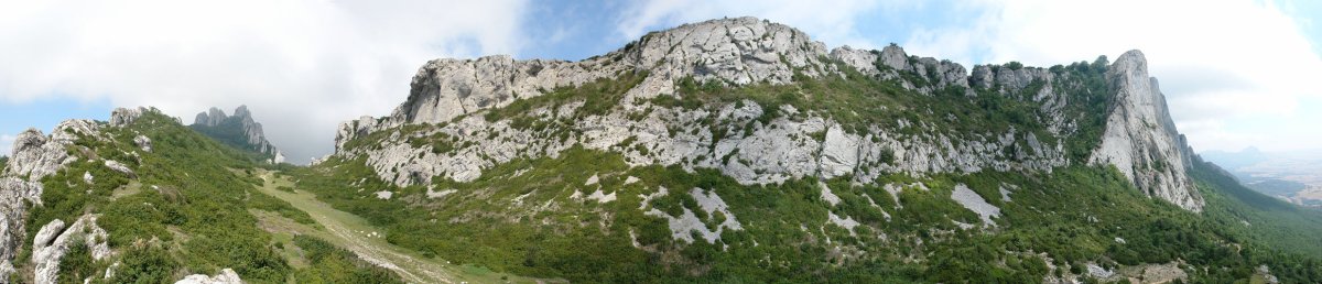 Mendebaldeko gandorra, Toro mendatetik