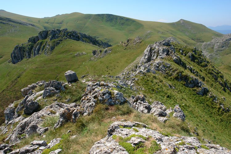 Etitzegi aldeko gandorra