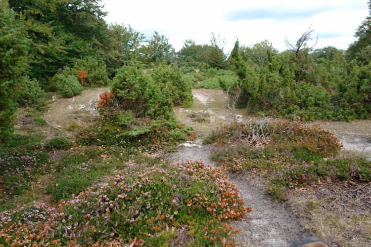 Tontorraren inguruko paisaia