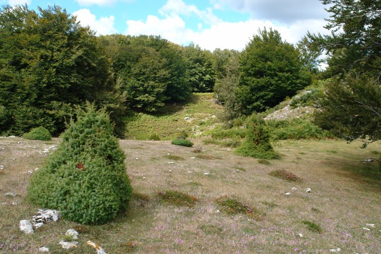 Bi gainen arteko bidea