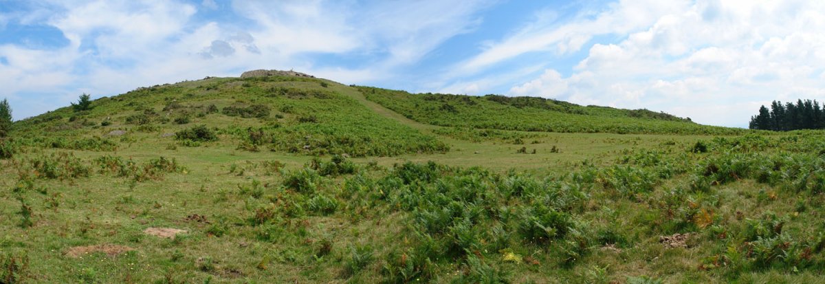 Hegoaldeko isurialdea