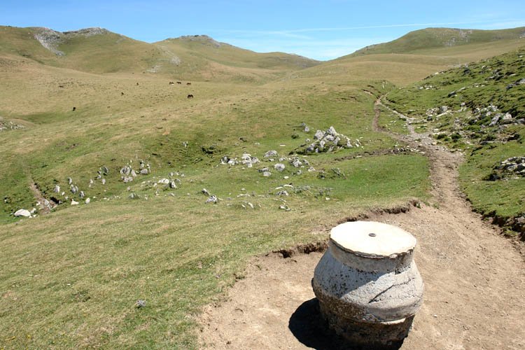 Norabide mahaia, Alotza aldean