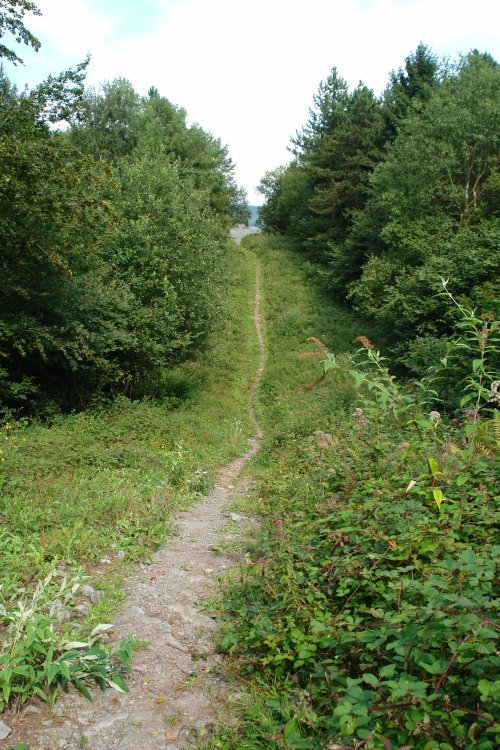 Ekialdeko bizkarreko bidea