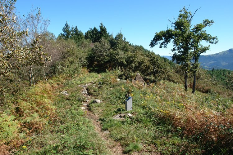 Bi tontorren arteko bidea