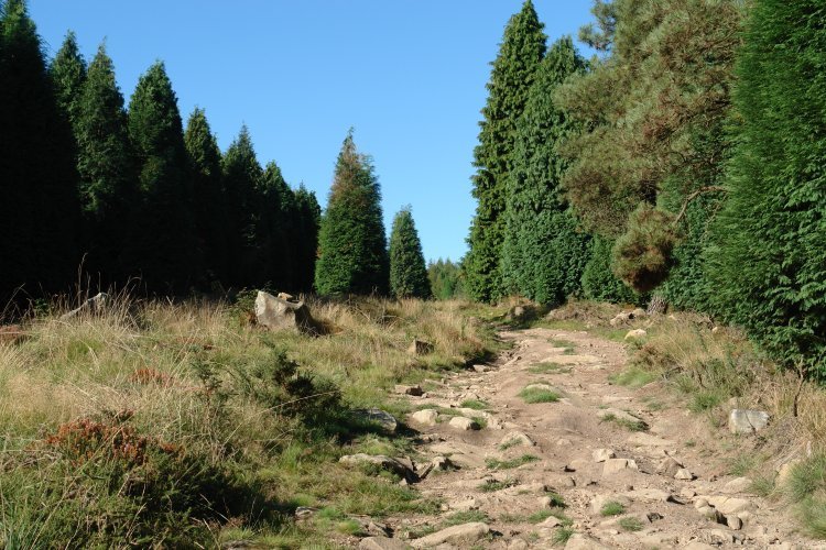 Ekialdeko bizkarreko bidea