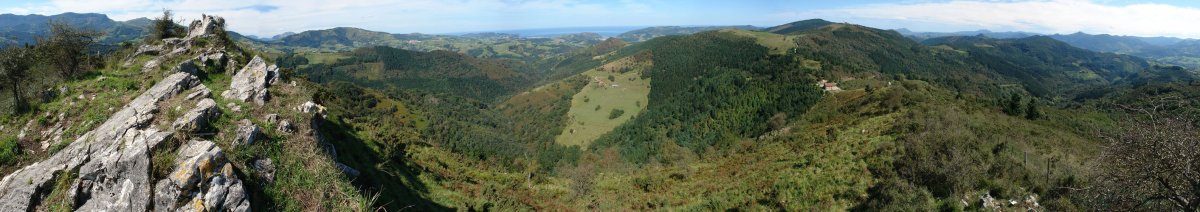 Tontorra eta bertako ikuspegia