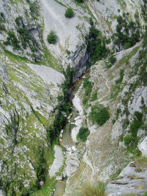 Erreka arroilaren behealdean