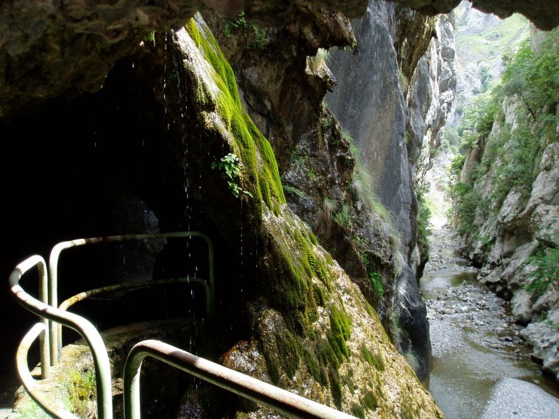 Arroilaren goialdean