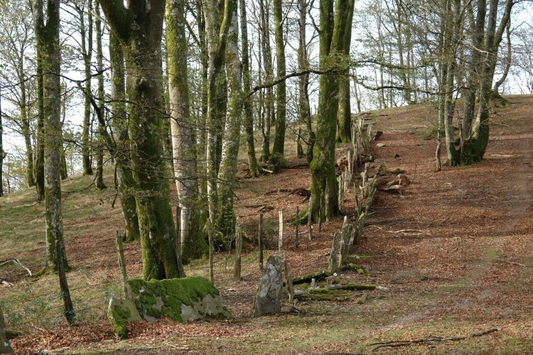 Bertizko parkearen eremua mugatzen duen hesia