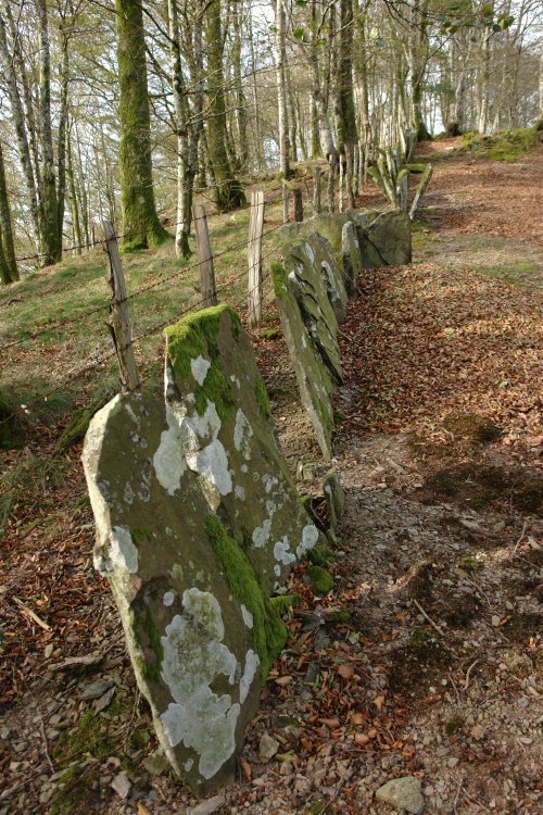 Bertizko eremua mugatzen duen hesia