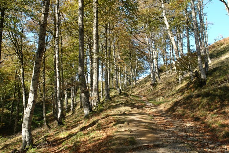 Santio bidea Ibanetara igotzen