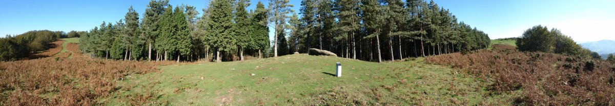 Arribiriletako trikuharria, Kurutzebakar eta Irukurutzeta artean