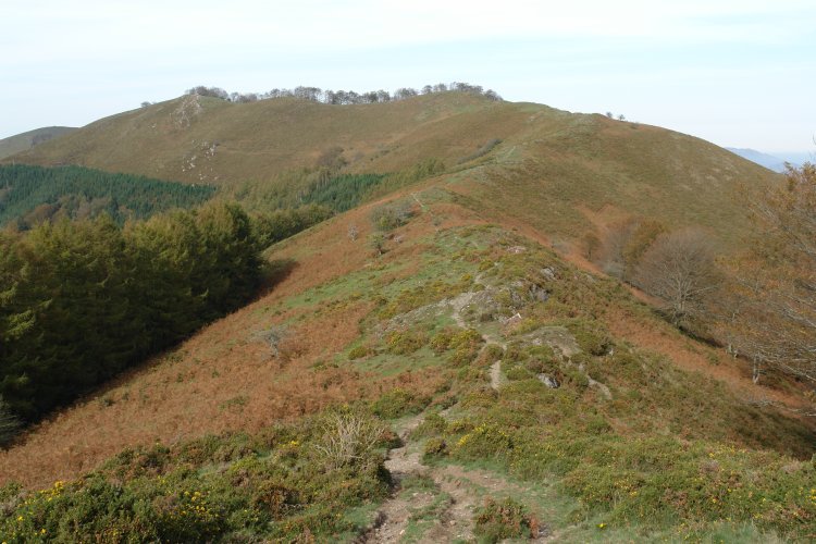 Asketa HEko bizkarretik