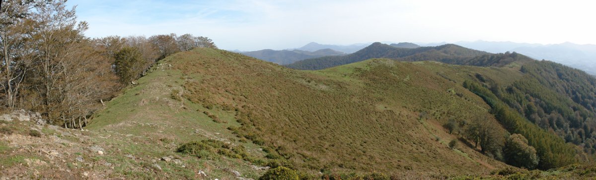 Azkua aldeko bizkarretik