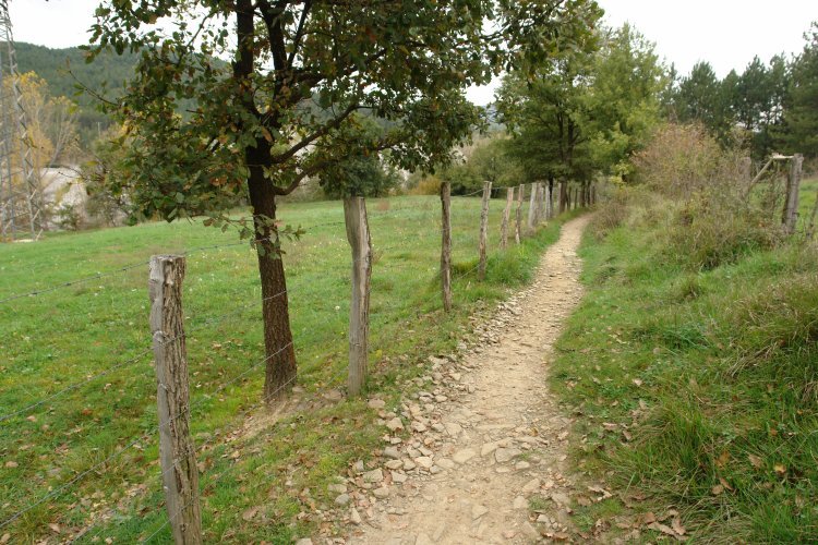 Osteritz eta Zubiri arteko bideko pasarte bat