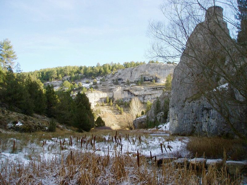 Arroilaren erdialdeko paisaia