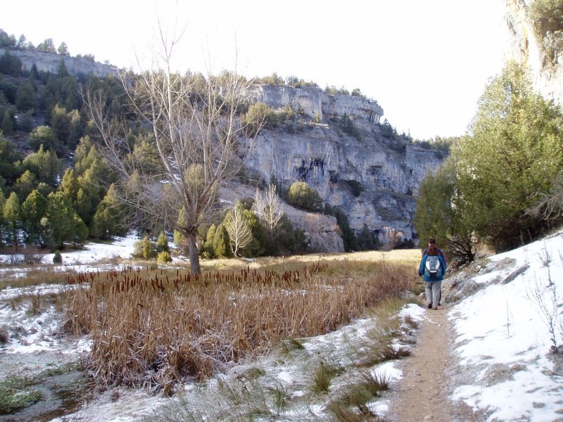 Arroilaren erdialdeko paisaia