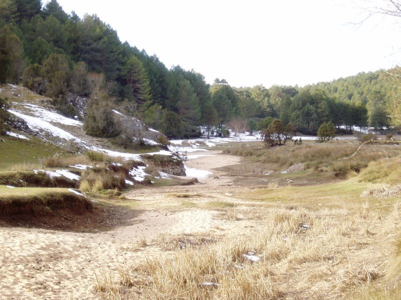 Arroilaren goialdeko paisaia