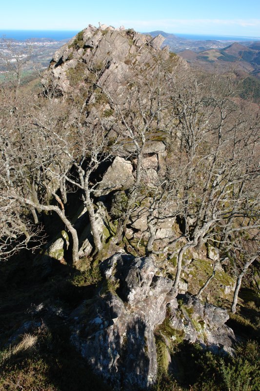 Tontorra hegoaldetik