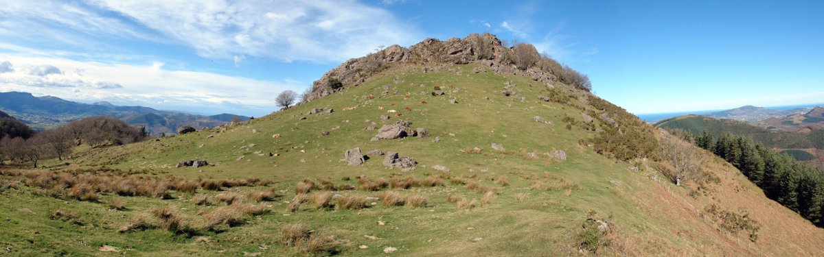 Aballarri, Adarra aldeko lepotik