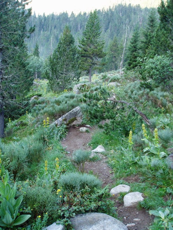 Banhs de Tredòsetik Colomèrs aterpera doan bidearen pasarte bat
