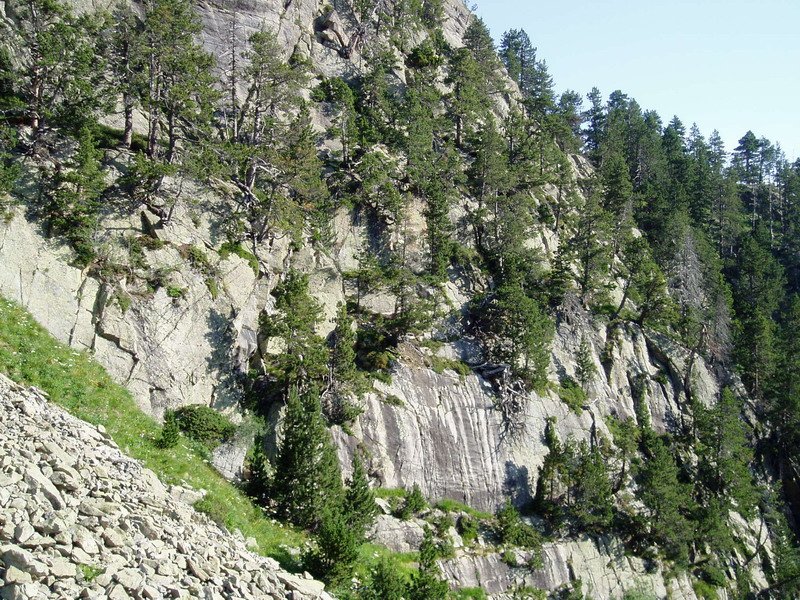 Colomèrs aterpetik gertu