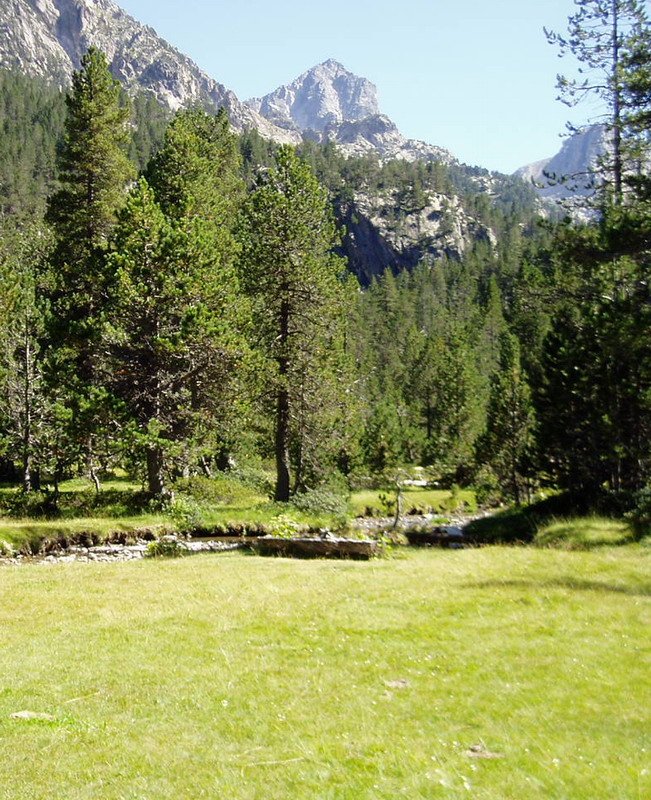 Monestero bailaratik ikusita