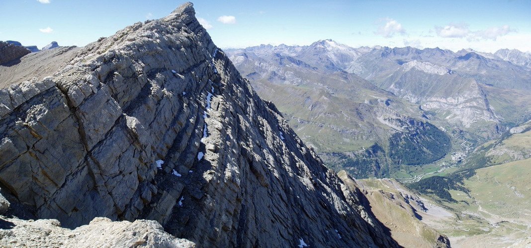 Astazou Txikia Swan lepotik ikusita