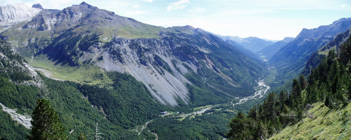 Pineta bailara Tormosako erlaitzetik ikusita