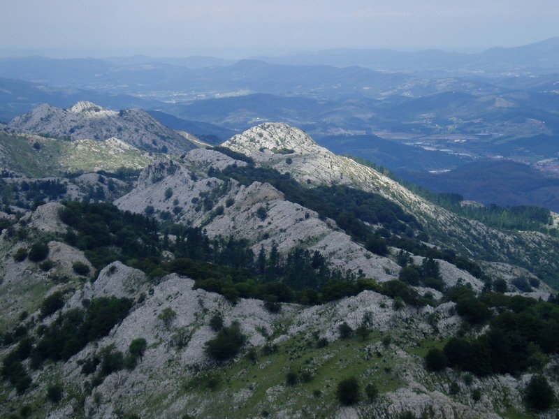 Artatxaganetik ikusita