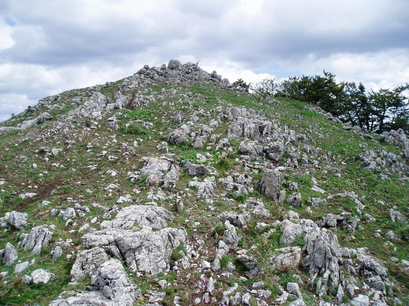 Artatxaganeko tontorra