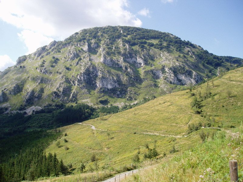 Landaederratik ikusita