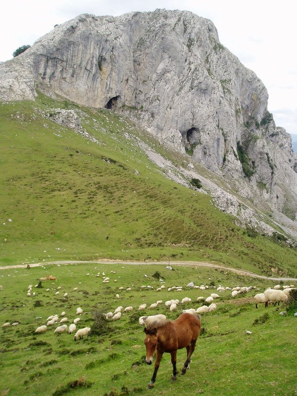 Mendebaldetik ikusita