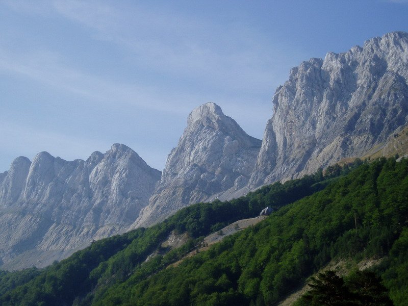 Iparraldetik ikusita, Petrafitxa bailaratik