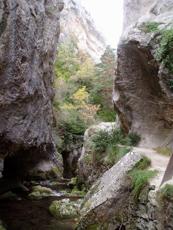 Puron errekaren arroila