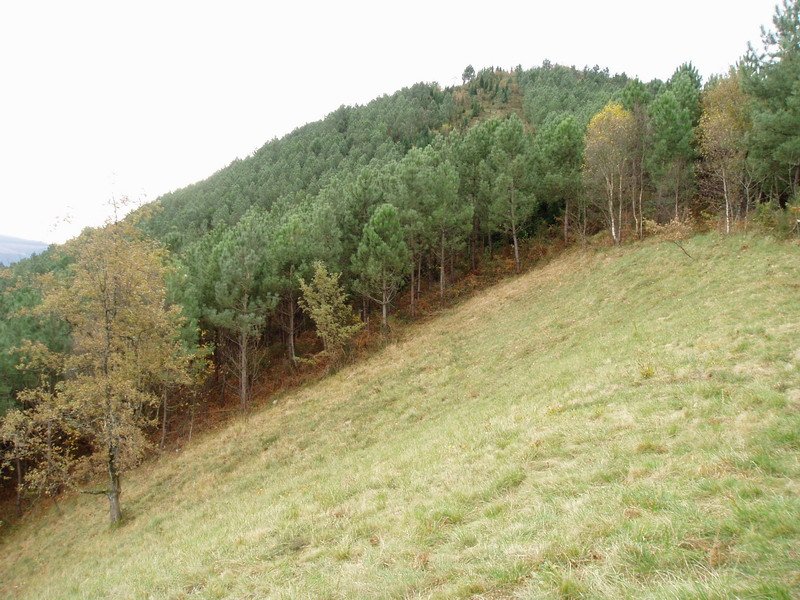 Iparraldetik ikusita