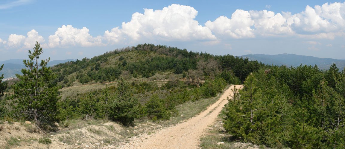 Gain aldeko bidea, mendebaldean.