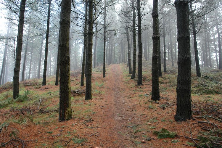 Asurtza aldeko igoerako pasarte bat