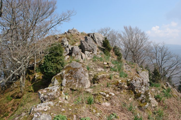 Tontorra hegoaldetik