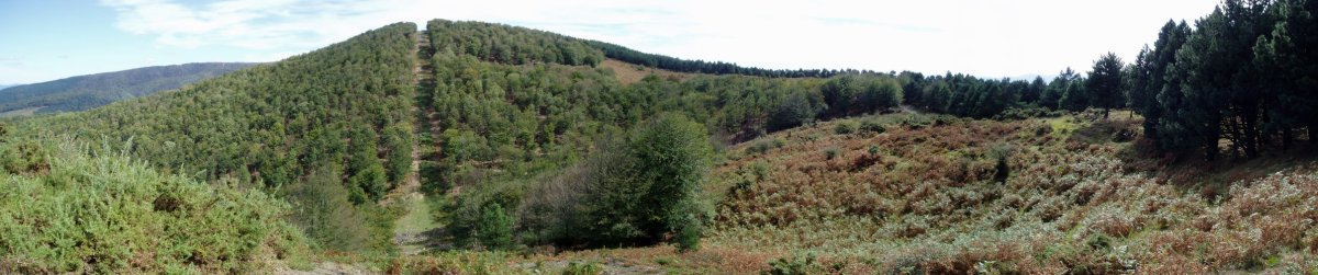 Troke Galbarraindik ikusita