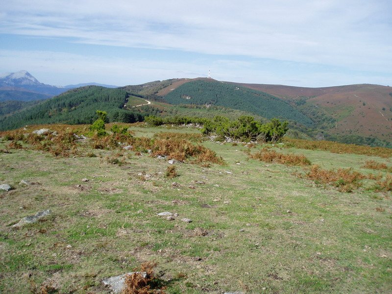 Albiturritik ikusita