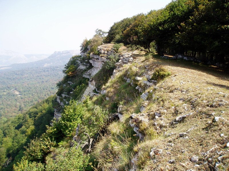 Mendebaldeko gandorreko pasarte bat